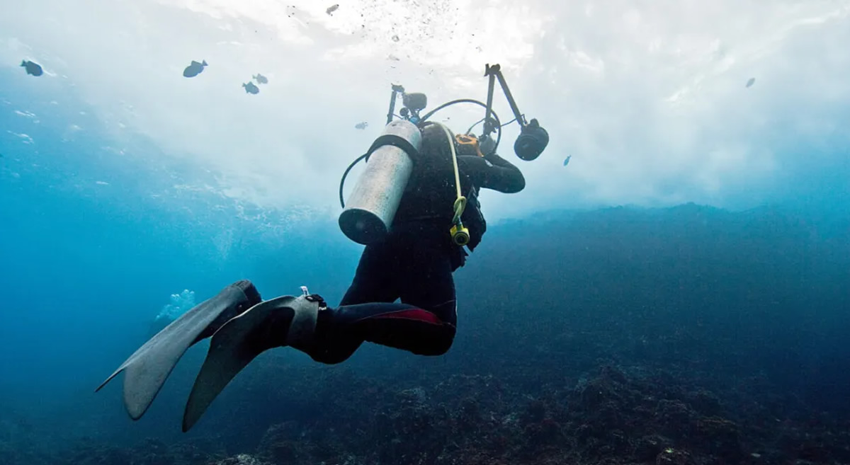 PADI referral open water dives Costa Rica