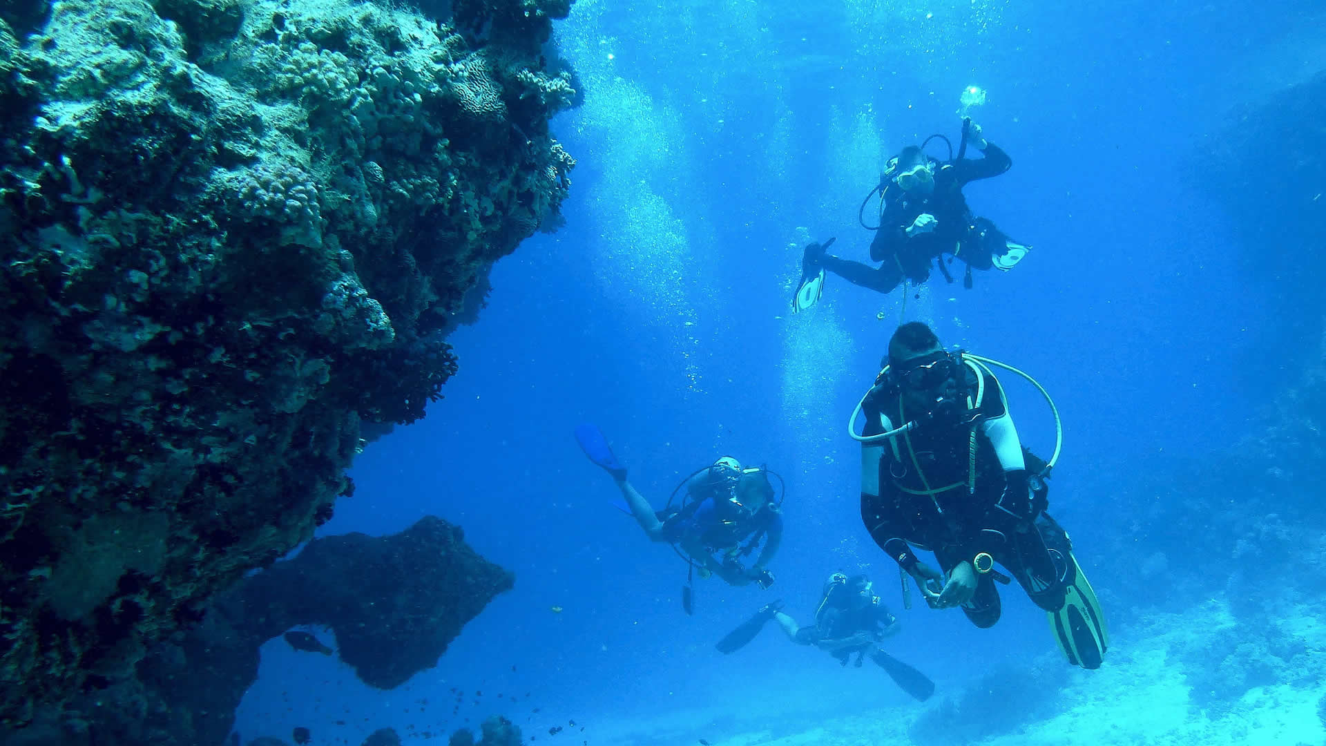 Sirenas diving and fishing Costa Rica