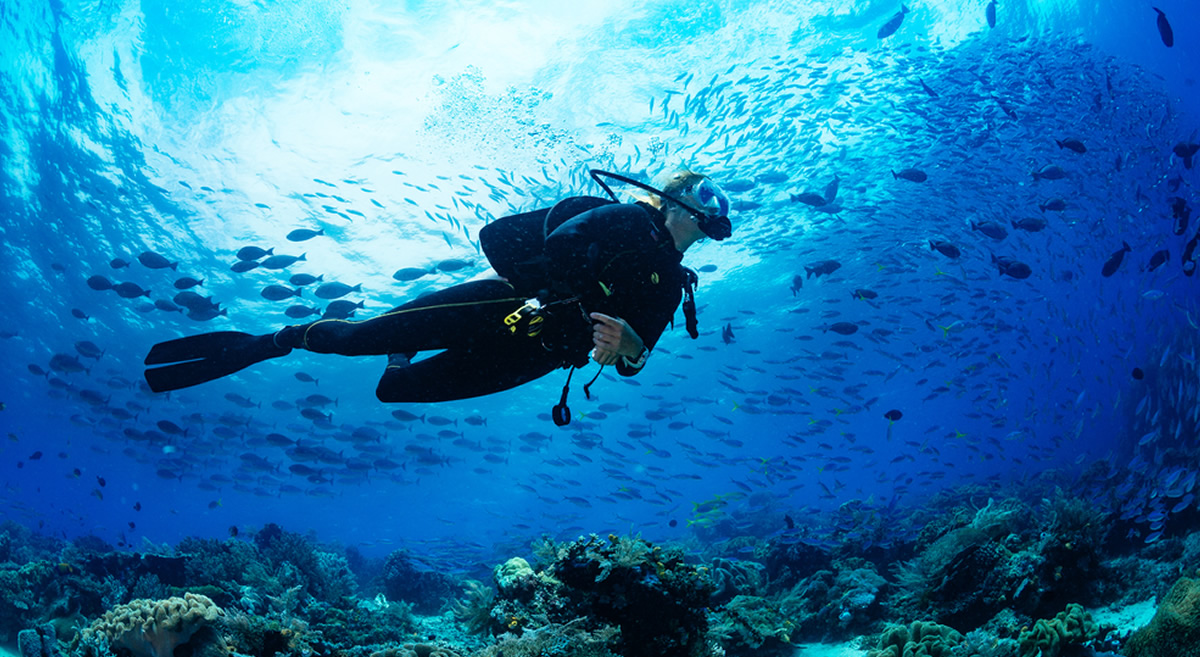 Sirenas diving and fishing Costa Rica