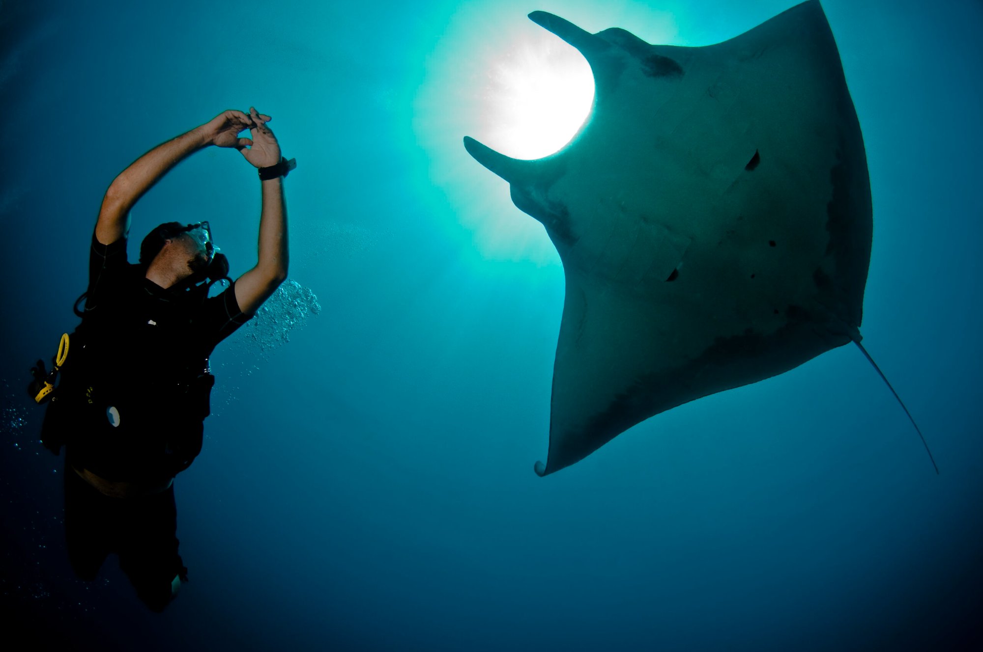 Sirenas diving and fishing Costa Rica